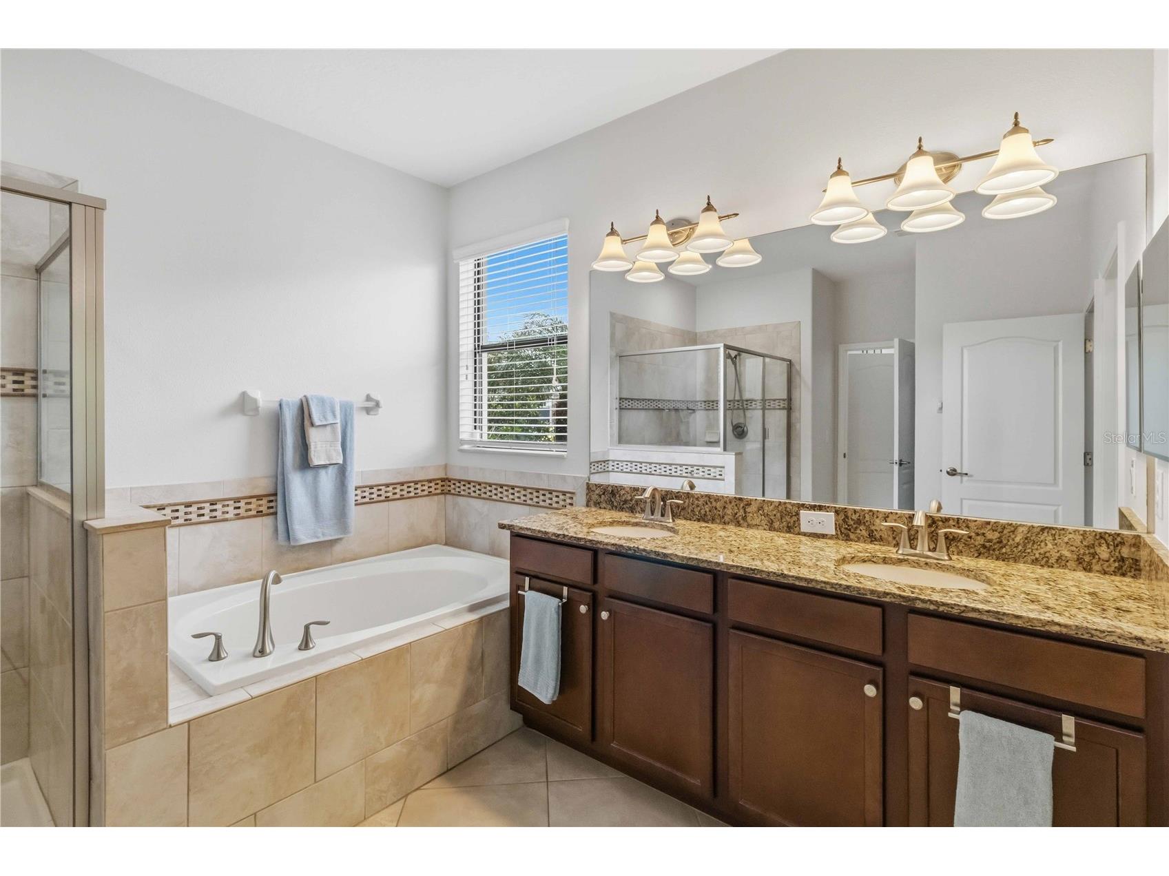 11833 Frost Aster Drive Riverview FL 33579 A4695412 image23