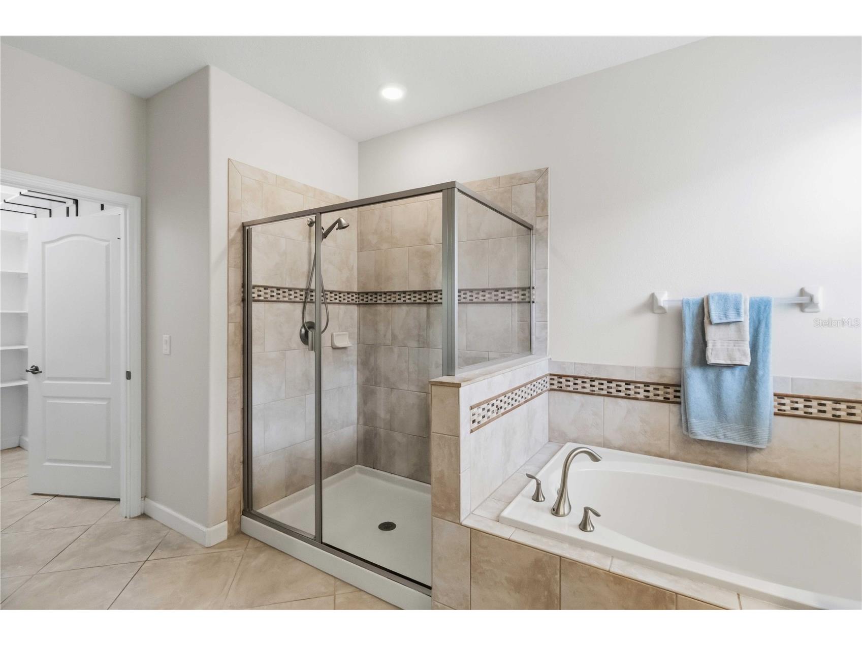 11833 Frost Aster Drive Riverview FL 33579 A4695412 image24