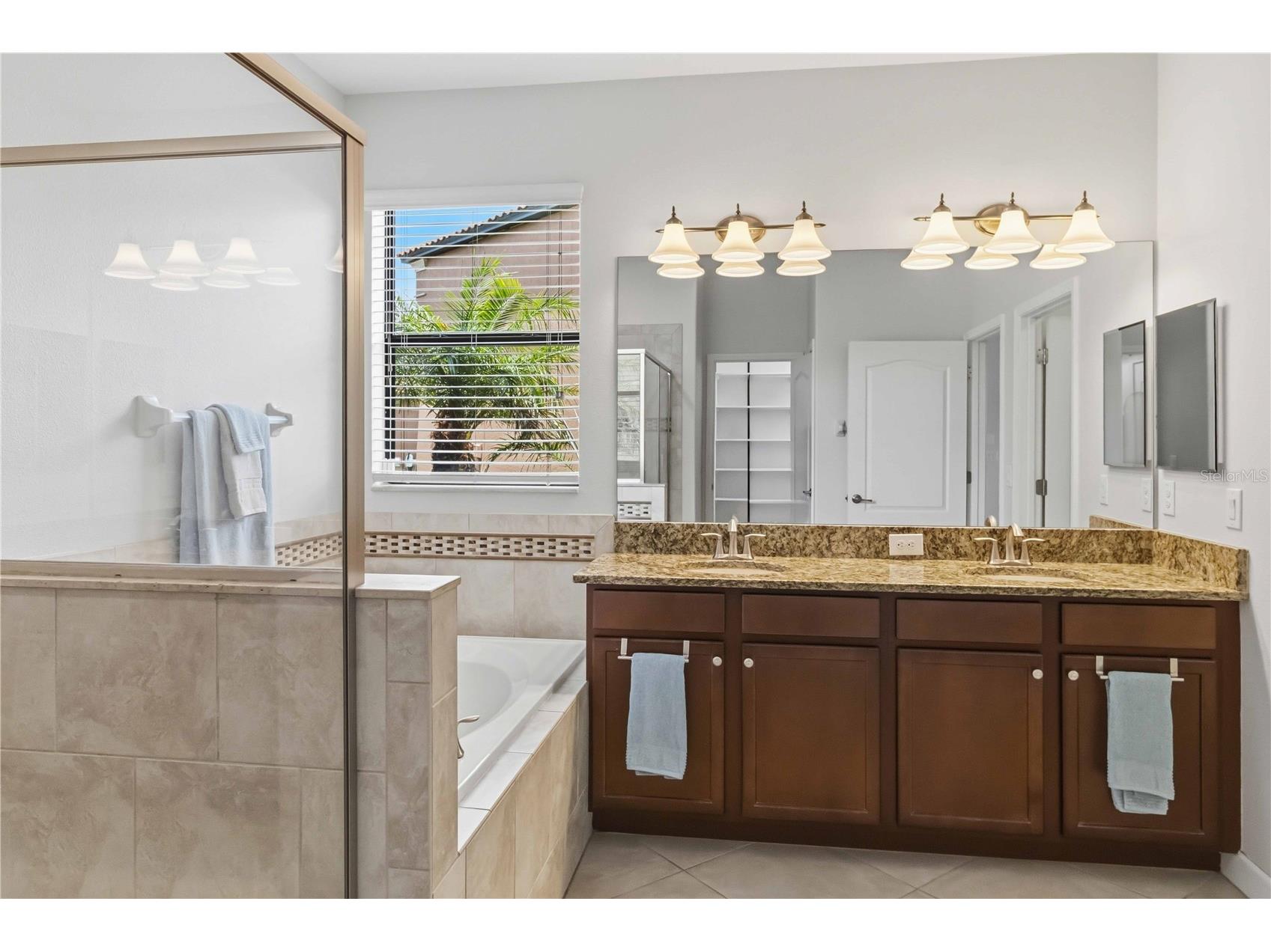 11833 Frost Aster Drive Riverview FL 33579 A4695412 image25