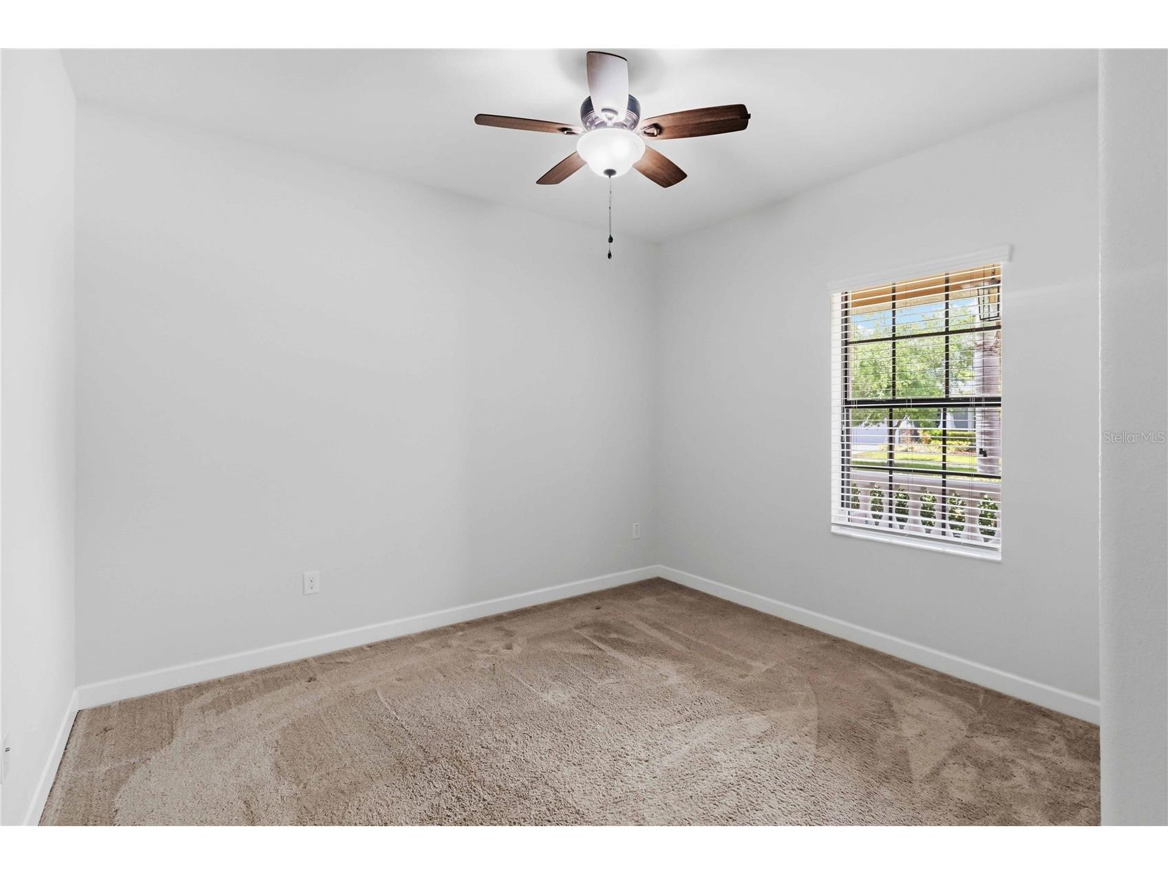 11833 Frost Aster Drive Riverview FL 33579 A4695412 image29