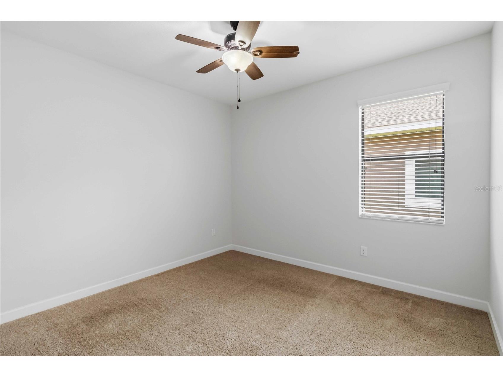 11833 Frost Aster Drive Riverview FL 33579 A4695412 image32