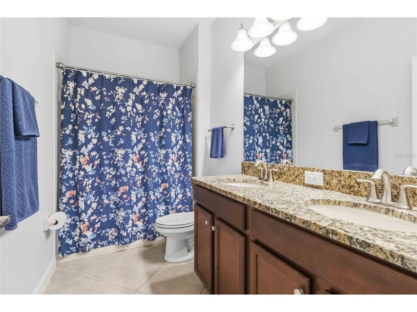 11833 Frost Aster Drive Riverview FL 33579 A4695412 image33