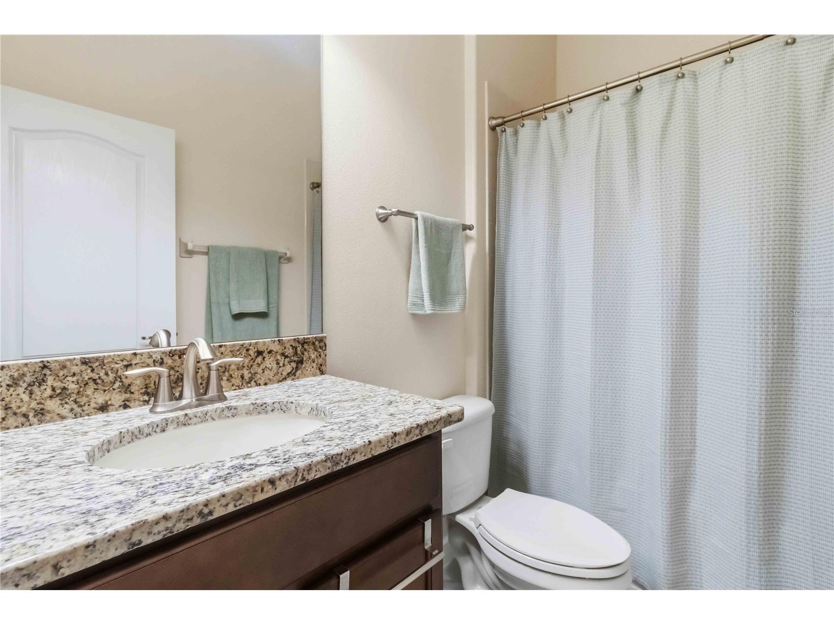 11833 Frost Aster Drive Riverview FL 33579 A4695412 image34