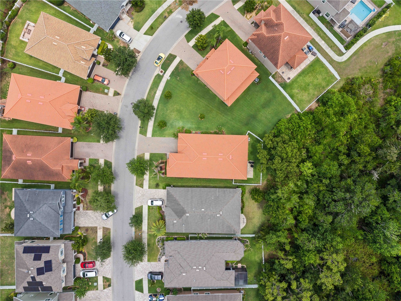 11833 Frost Aster Drive Riverview FL 33579 A4695412 image44
