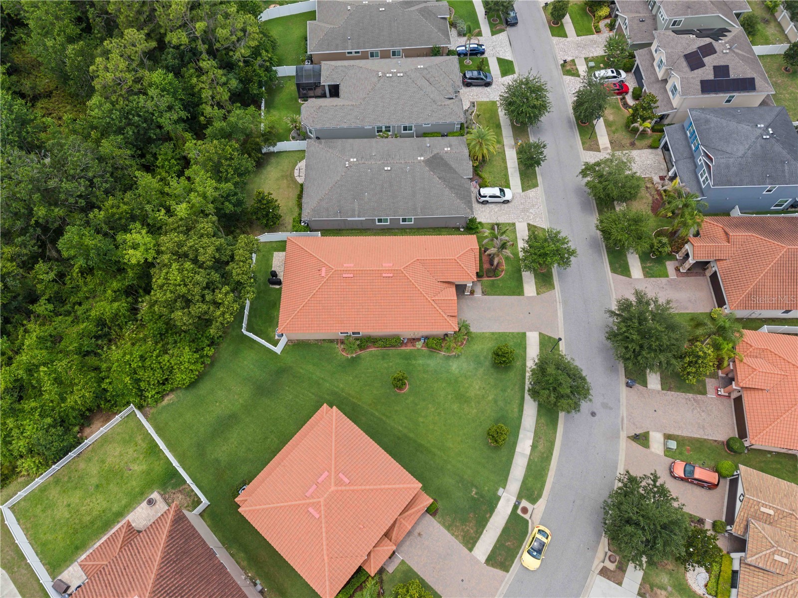 11833 Frost Aster Drive Riverview FL 33579 A4695412 image46