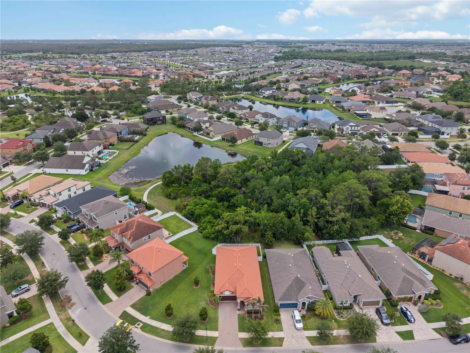 11833 Frost Aster Drive Riverview FL 33579 A4695412 image47
