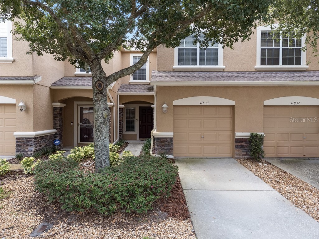 11834 Castine Street New Port Richey FL 34654 T3455998 image1