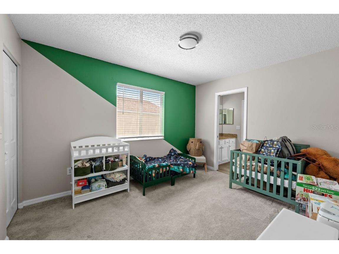 11834 Lark Song Loop Riverview FL 33579 TB8427936 image14