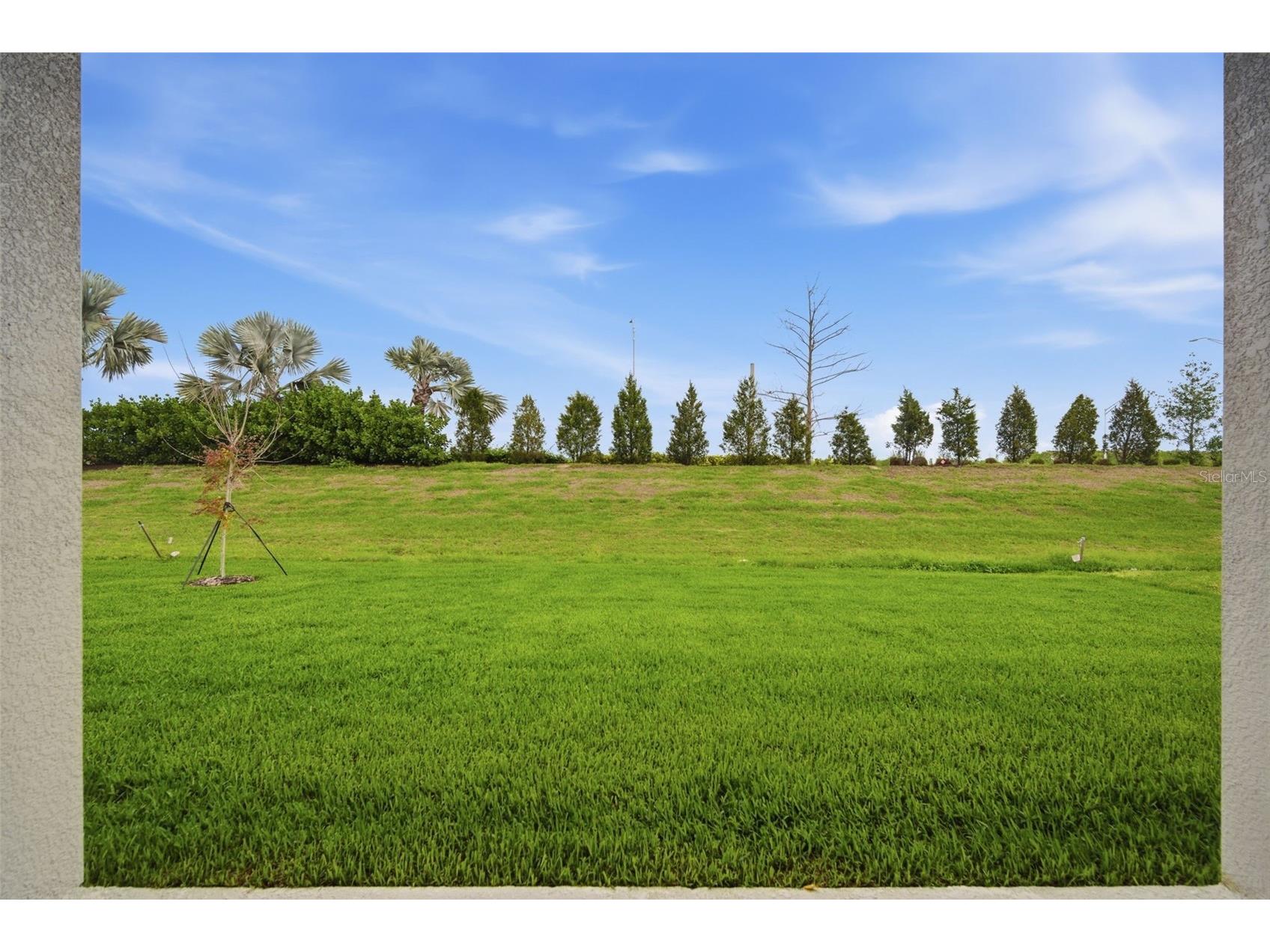 11834 Richmond Trail Parrish FL 34219 TB8466795 image36