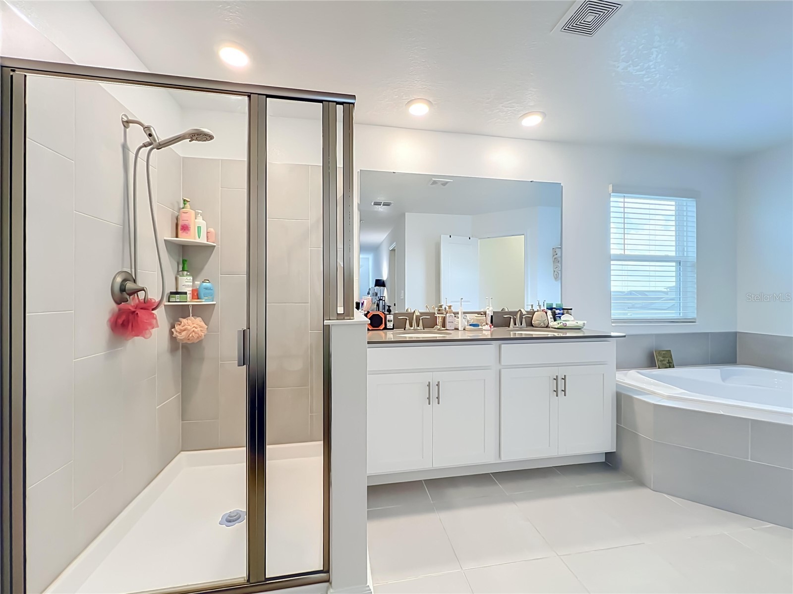 11835 Boldface Drive Orlando FL 32832 O6422163 image30