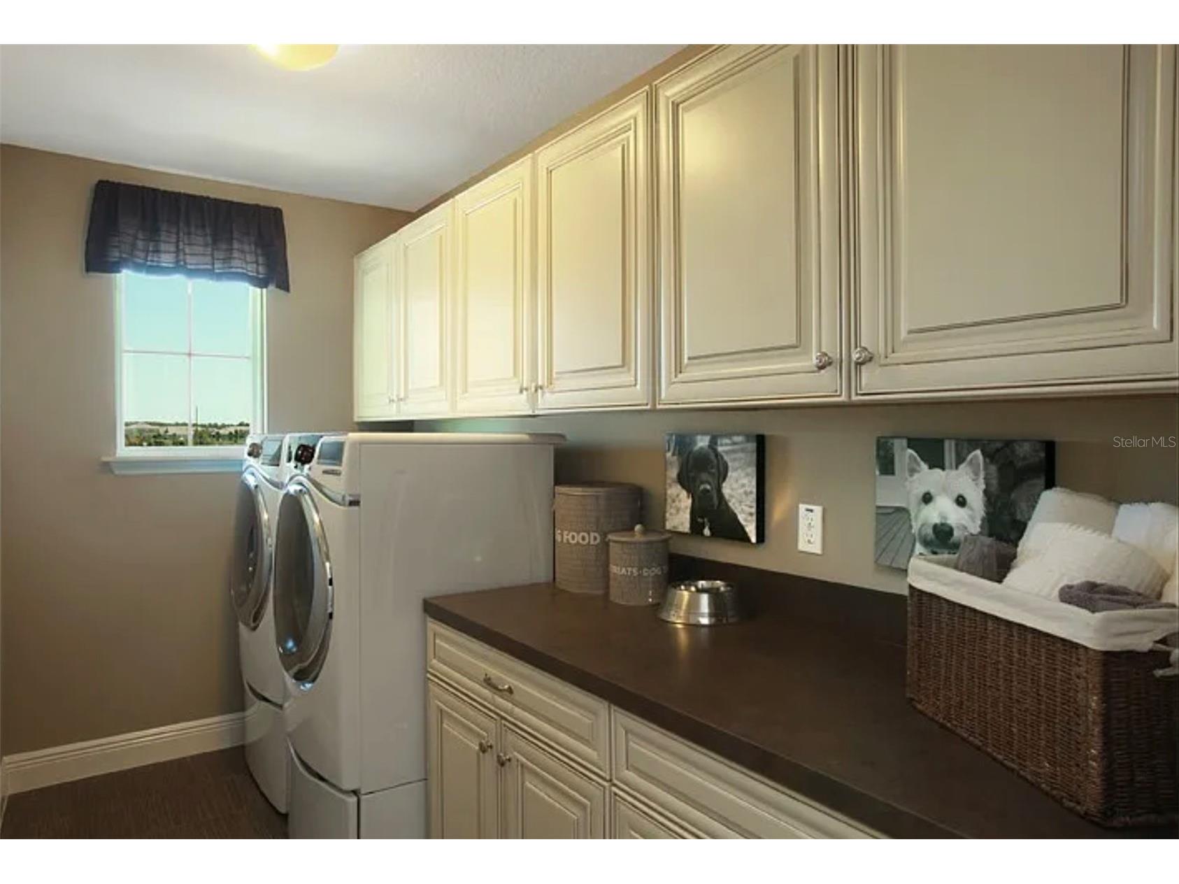 11835 Gold Creek Trail Windermere FL 34786 O6382068 image10