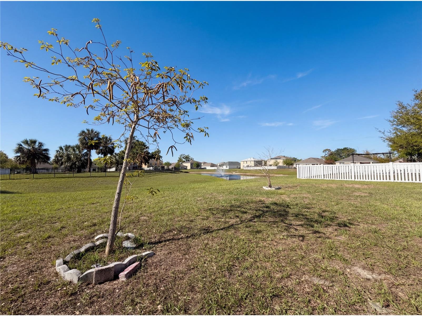 11835 Myrtle Rock Drive Riverview FL 33578 O6396061 image26