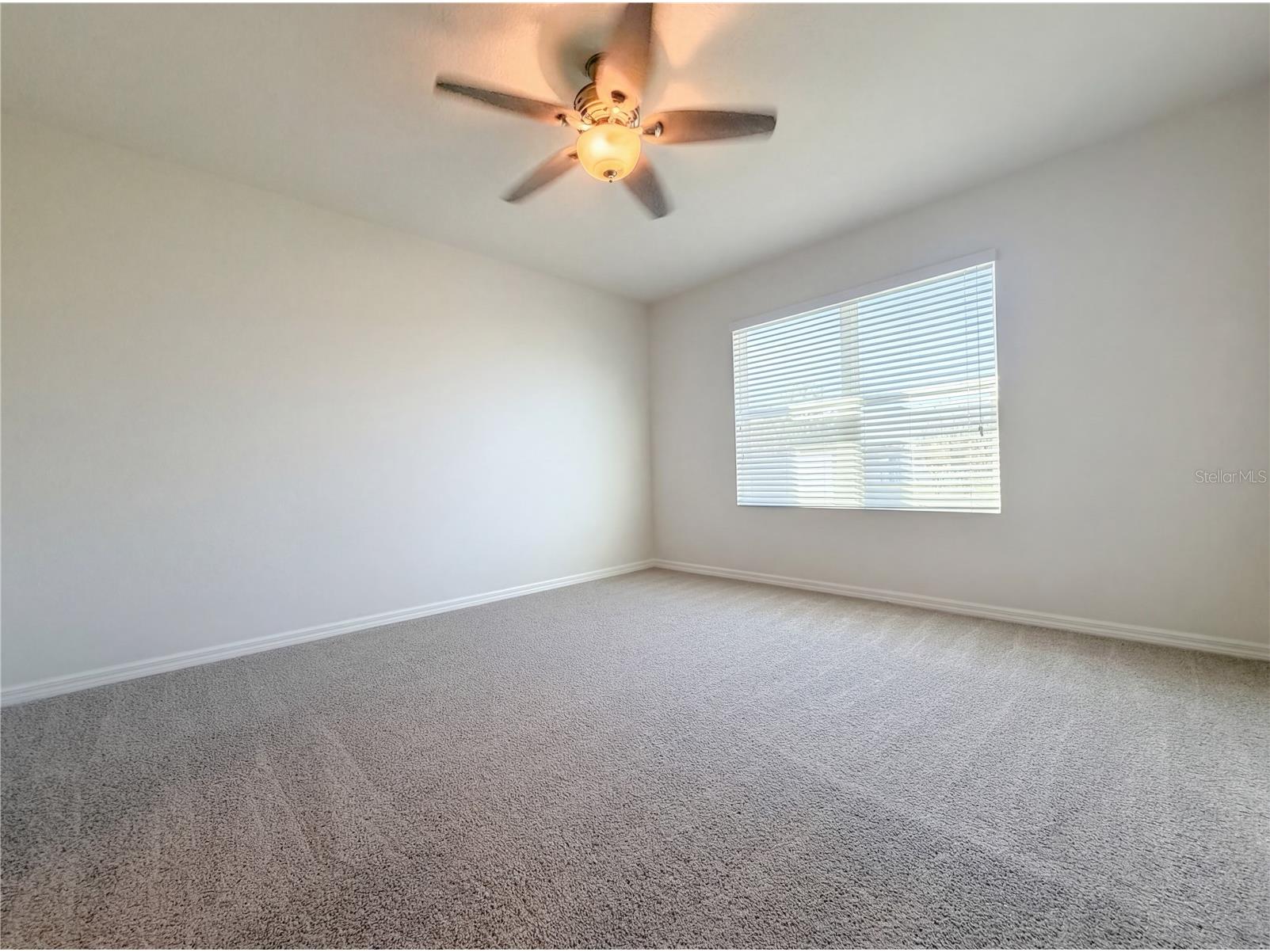 11835 Myrtle Rock Drive Riverview FL 33578 O6396061 image5