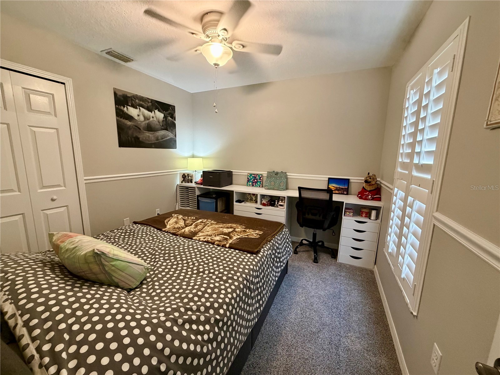 11837 Castine Street New Port Richey FL 34654 TB8519112 image21