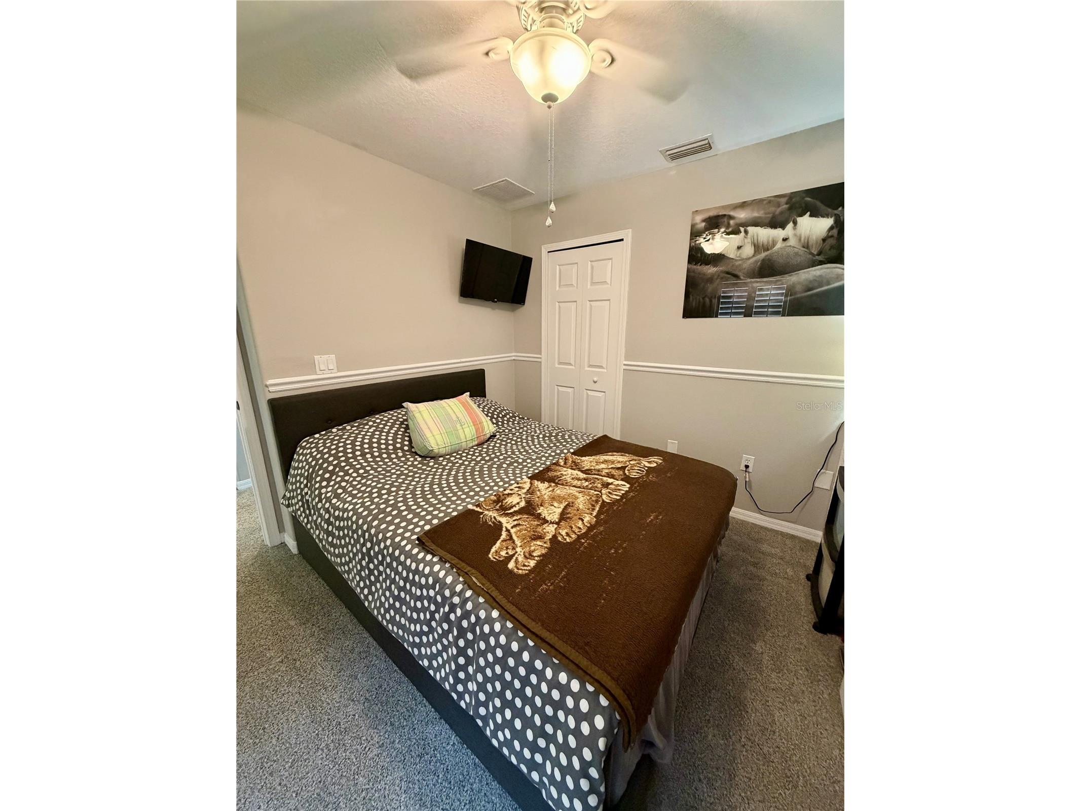 11837 Castine Street New Port Richey FL 34654 TB8519112 image23