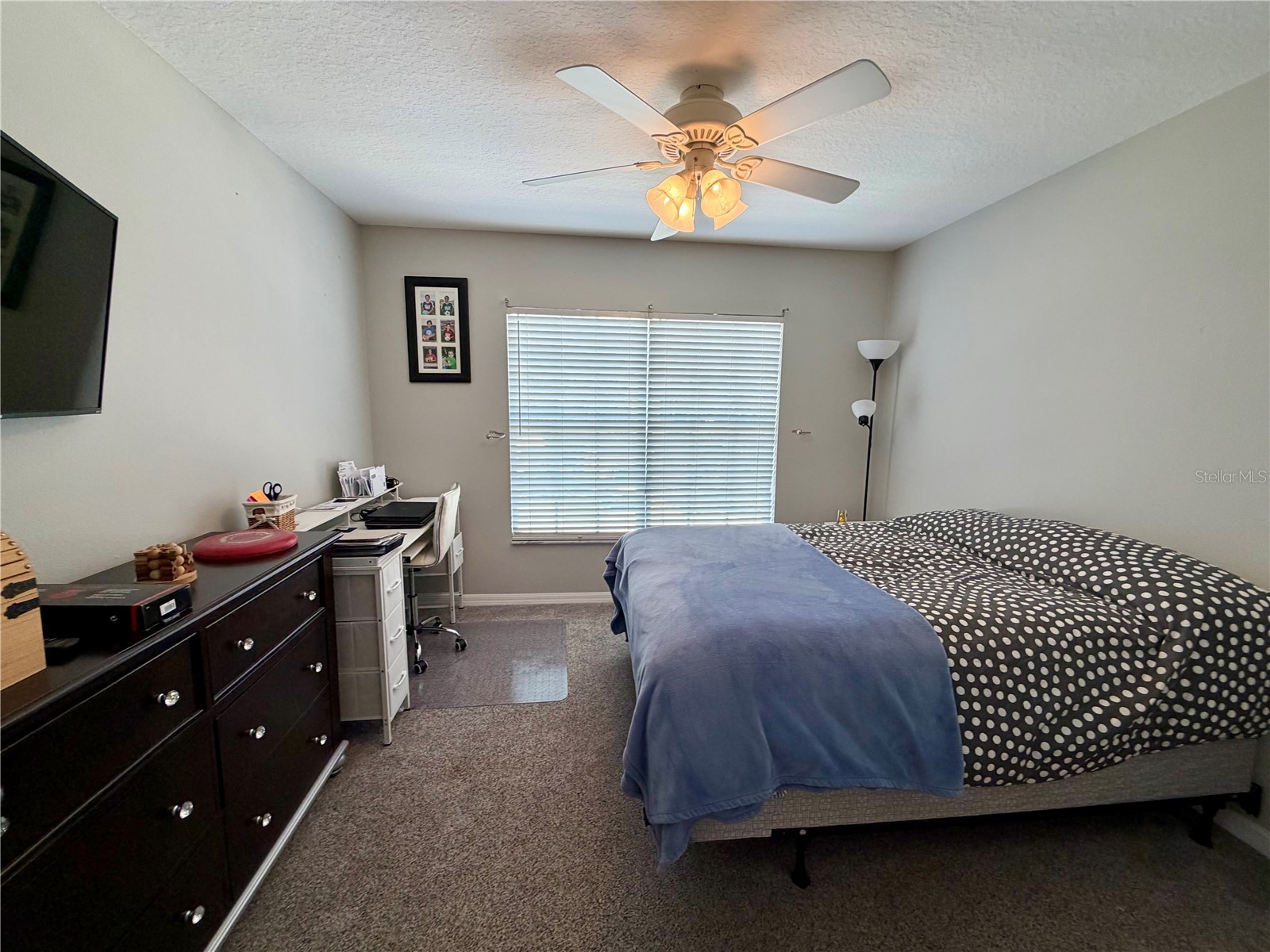 11837 Castine Street New Port Richey FL 34654 TB8519112 image24