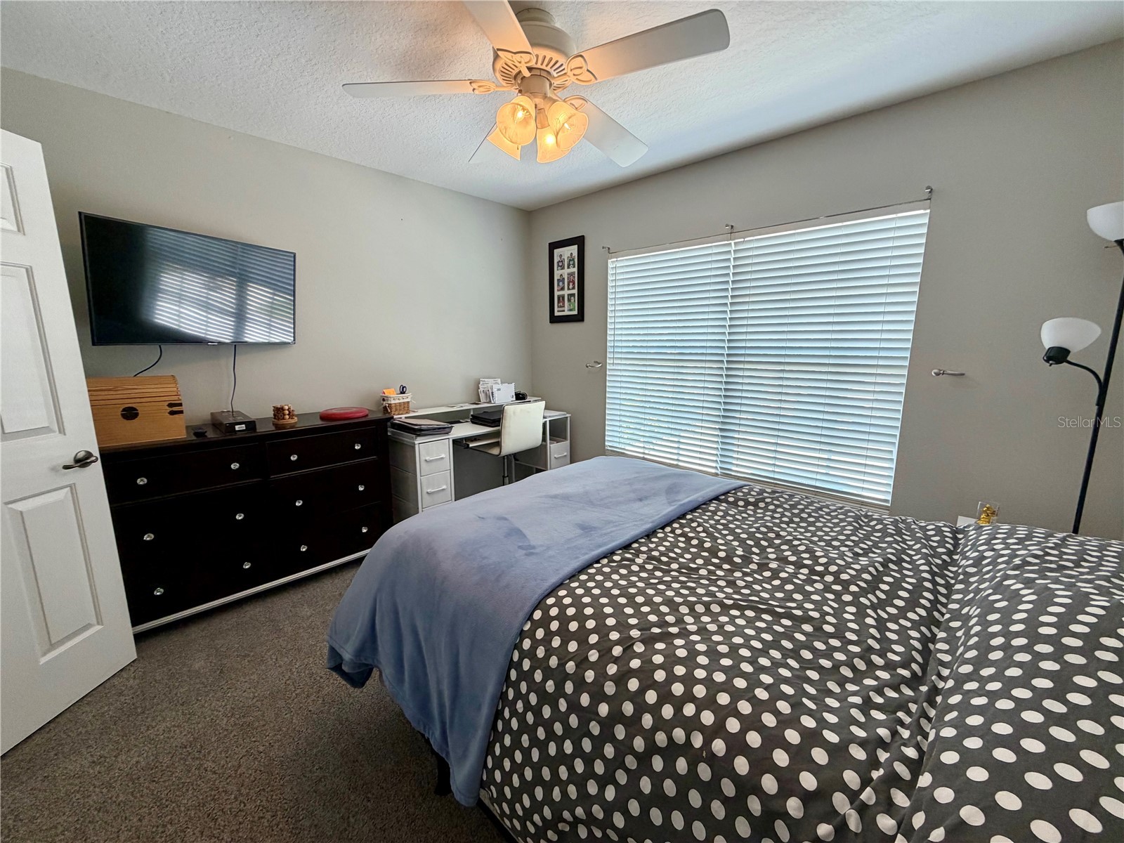 11837 Castine Street New Port Richey FL 34654 TB8519112 image25