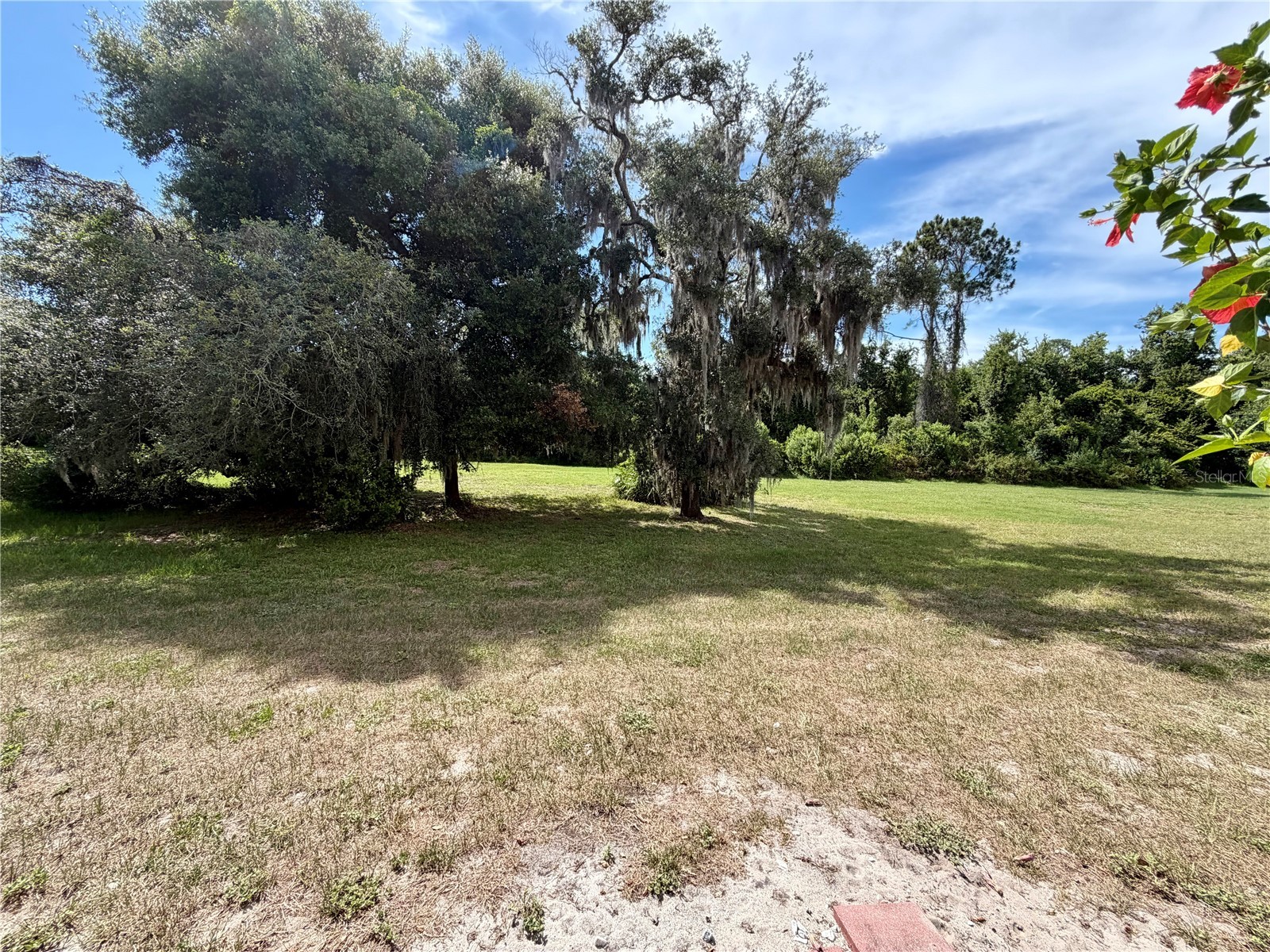 11837 Castine Street New Port Richey FL 34654 TB8519112 image30