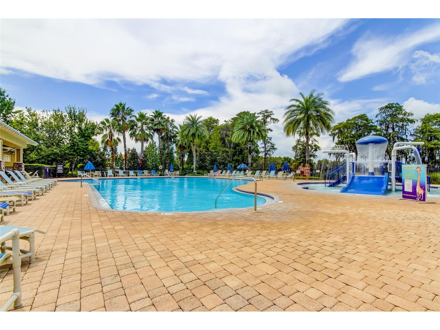 11837 Castine Street New Port Richey FL 34654 TB8519112 image35