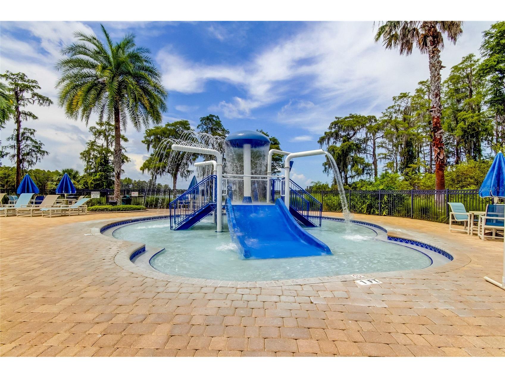 11837 Castine Street New Port Richey FL 34654 TB8519112 image36