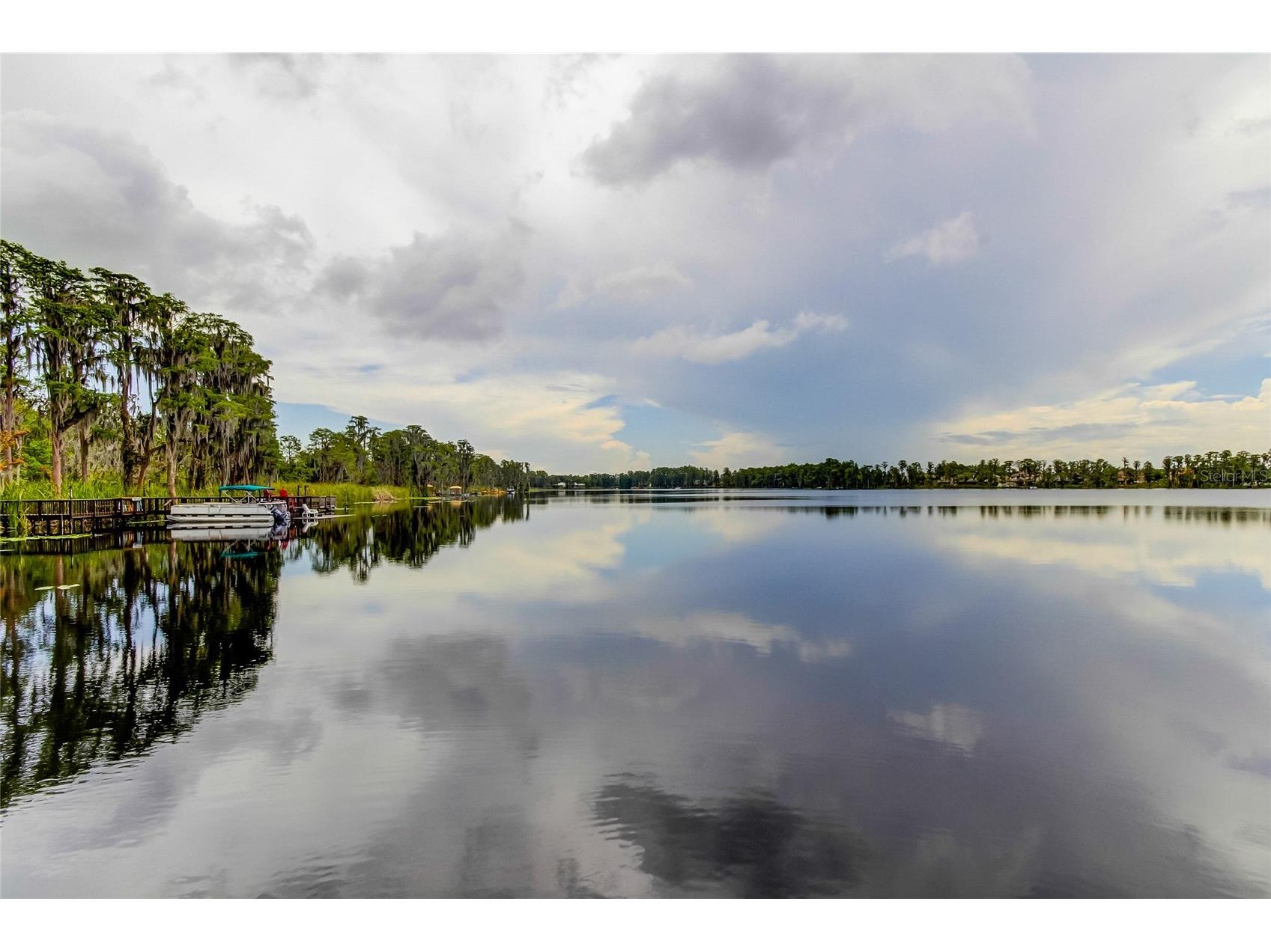 11837 Castine Street New Port Richey FL 34654 TB8519112 image38