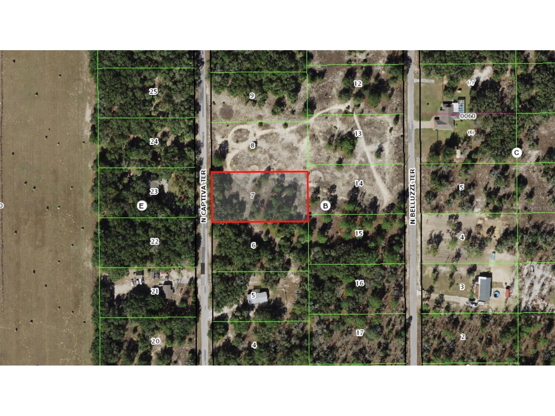 11837 N Captiva Terrace Dunnellon FL 34433 OM724803 image10