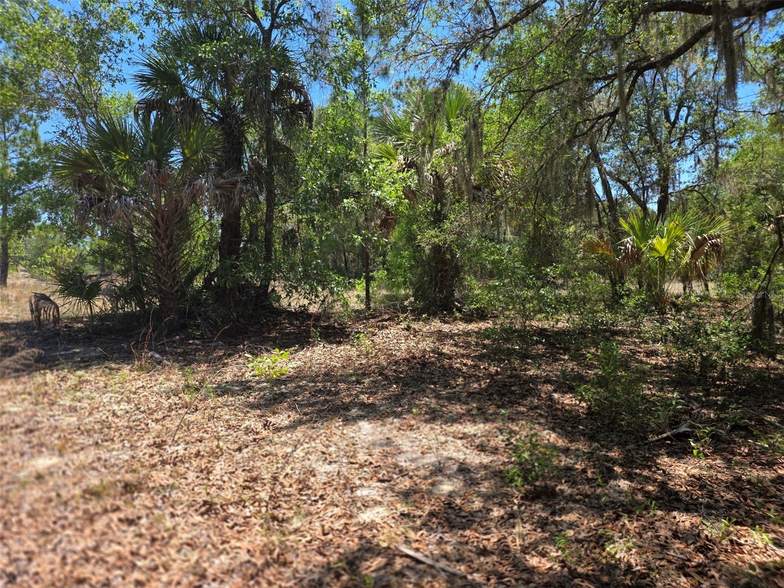 11837 N Captiva Terrace Dunnellon FL 34433 OM724803 image2