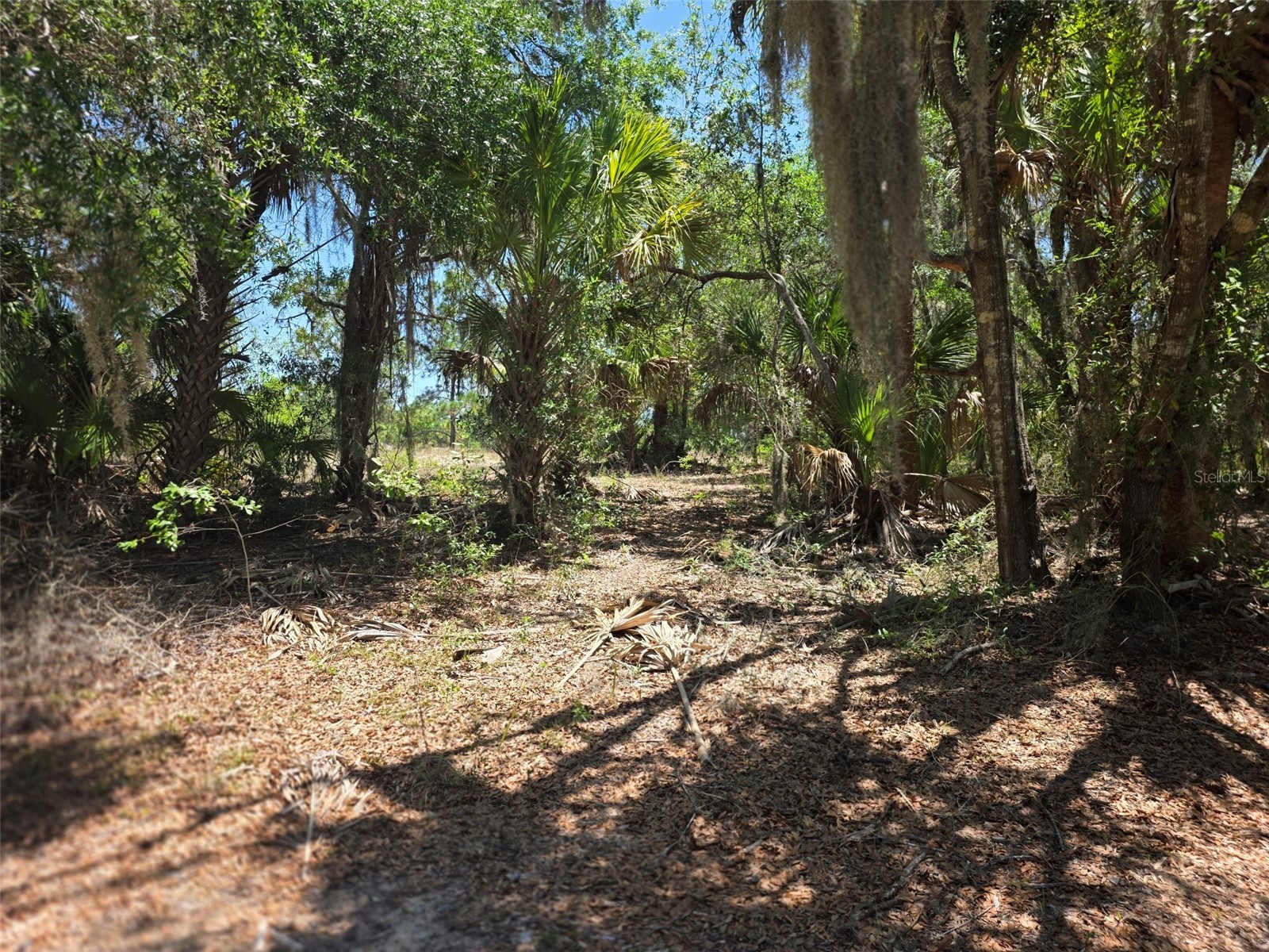 11837 N Captiva Terrace Dunnellon FL 34433 OM724803 image4