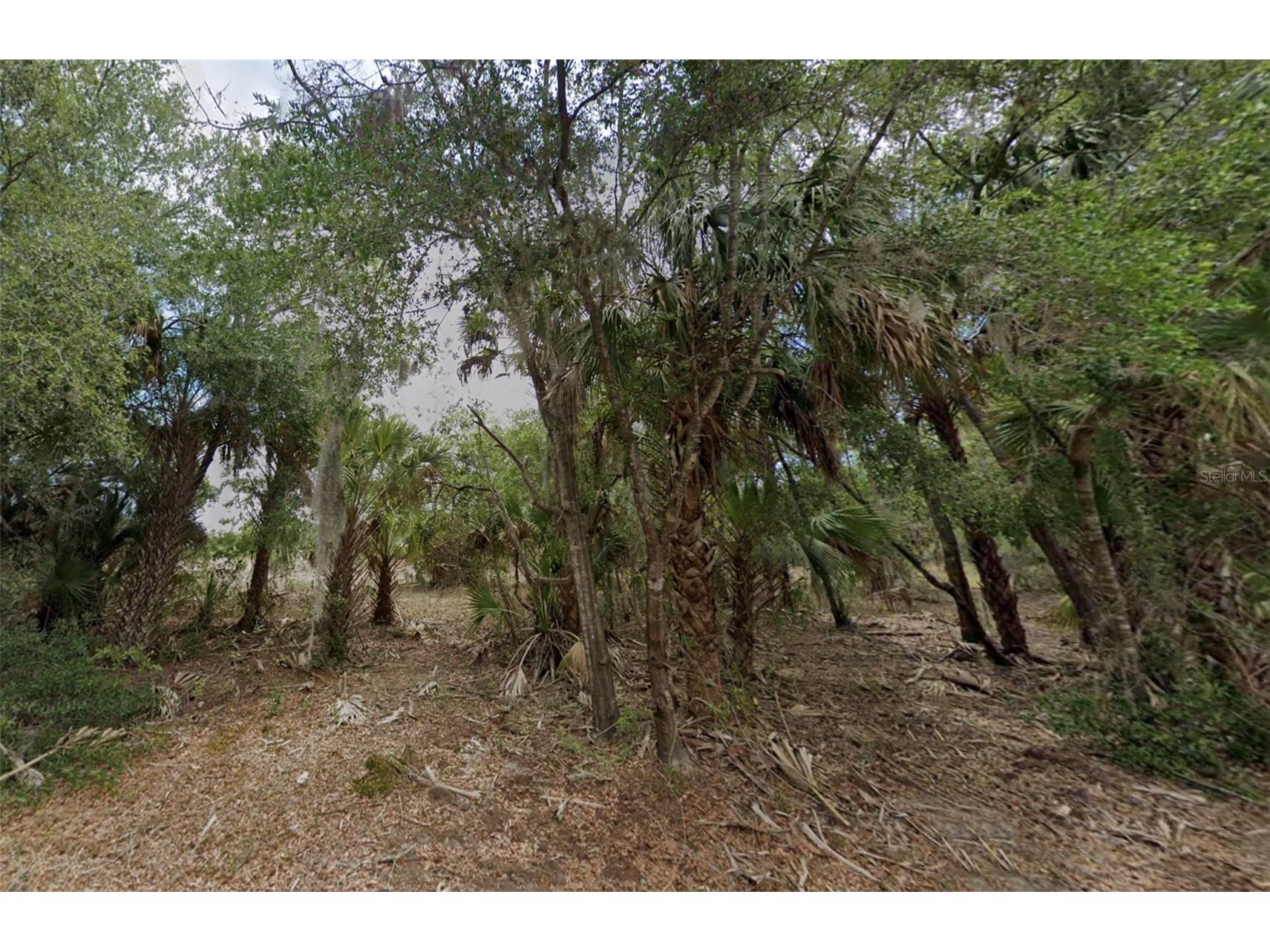 11837 N Captiva Terrace Dunnellon FL 34433 OM724803 image5