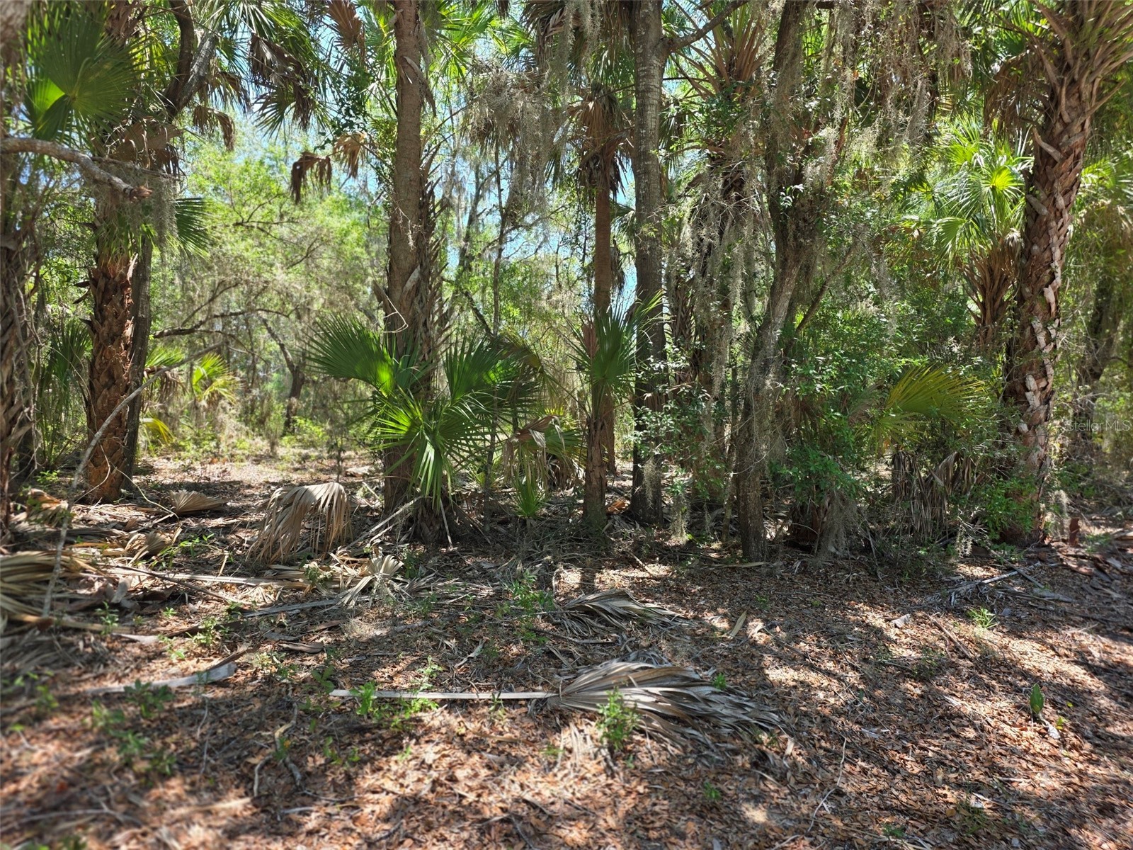 11837 N Captiva Terrace Dunnellon FL 34433 OM724803 image6