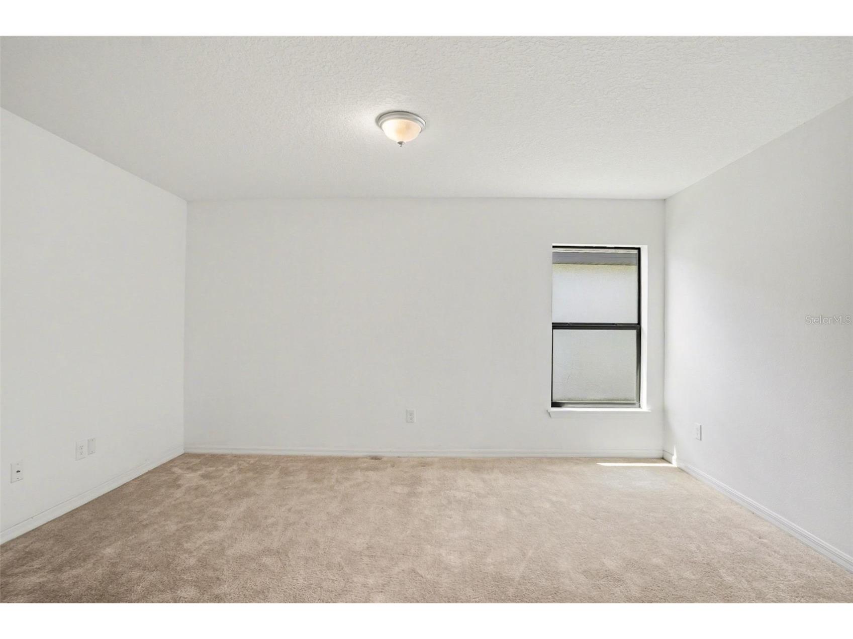 11837 Thicket Wood Drive Riverview FL 33579 TB8497244 image16
