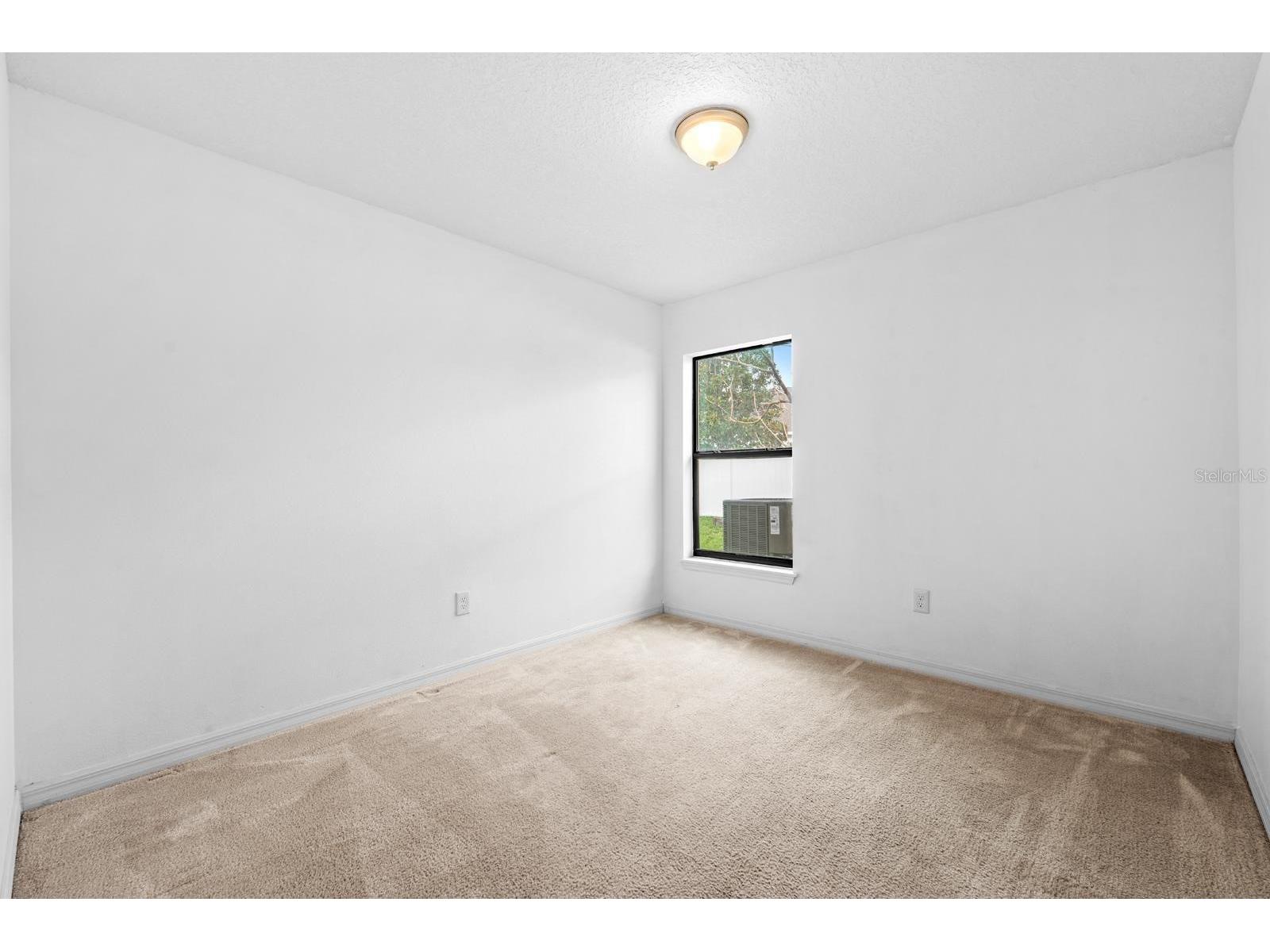 11837 Thicket Wood Drive Riverview FL 33579 TB8531343 image16