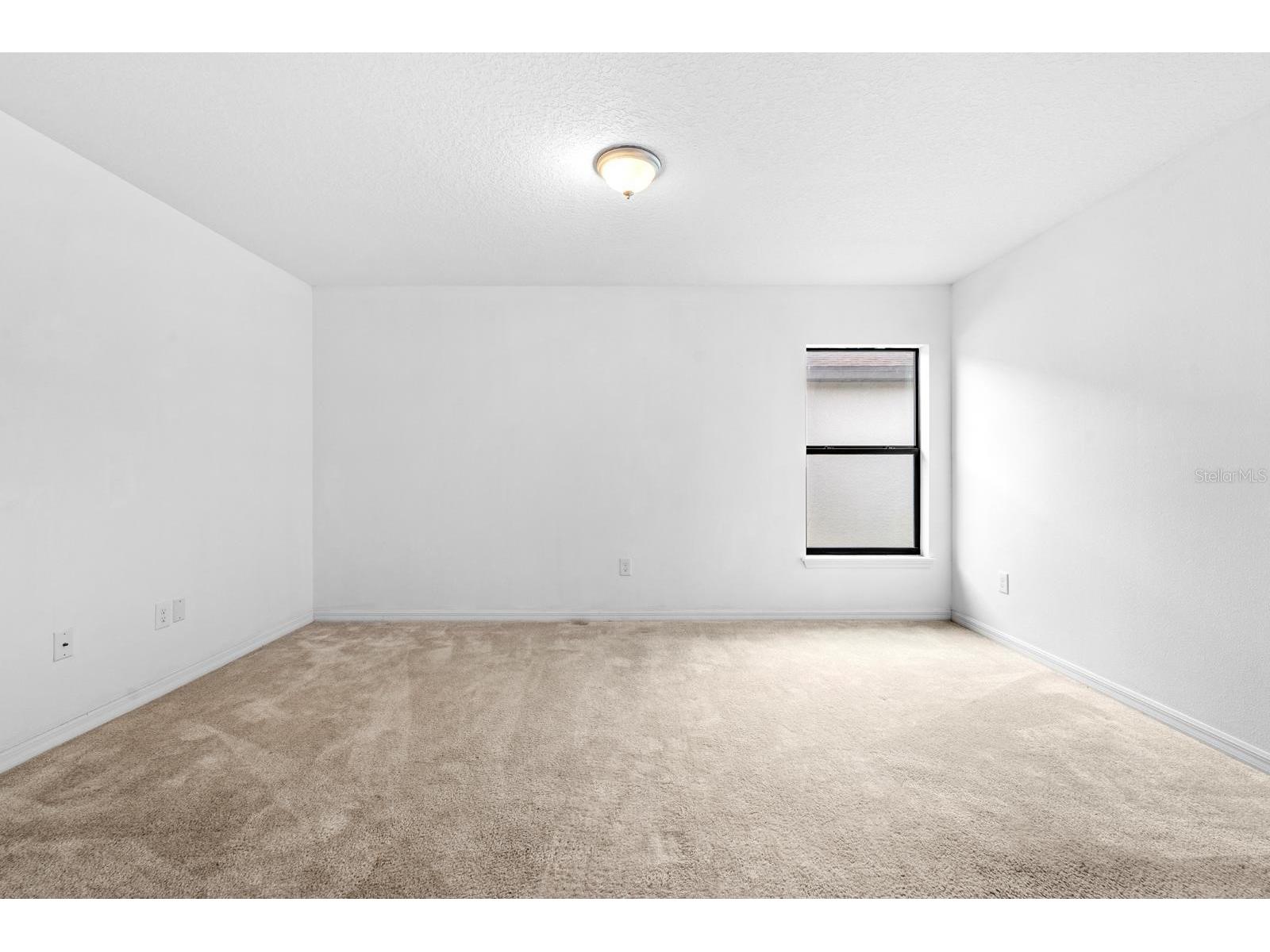 11837 Thicket Wood Drive Riverview FL 33579 TB8531343 image20