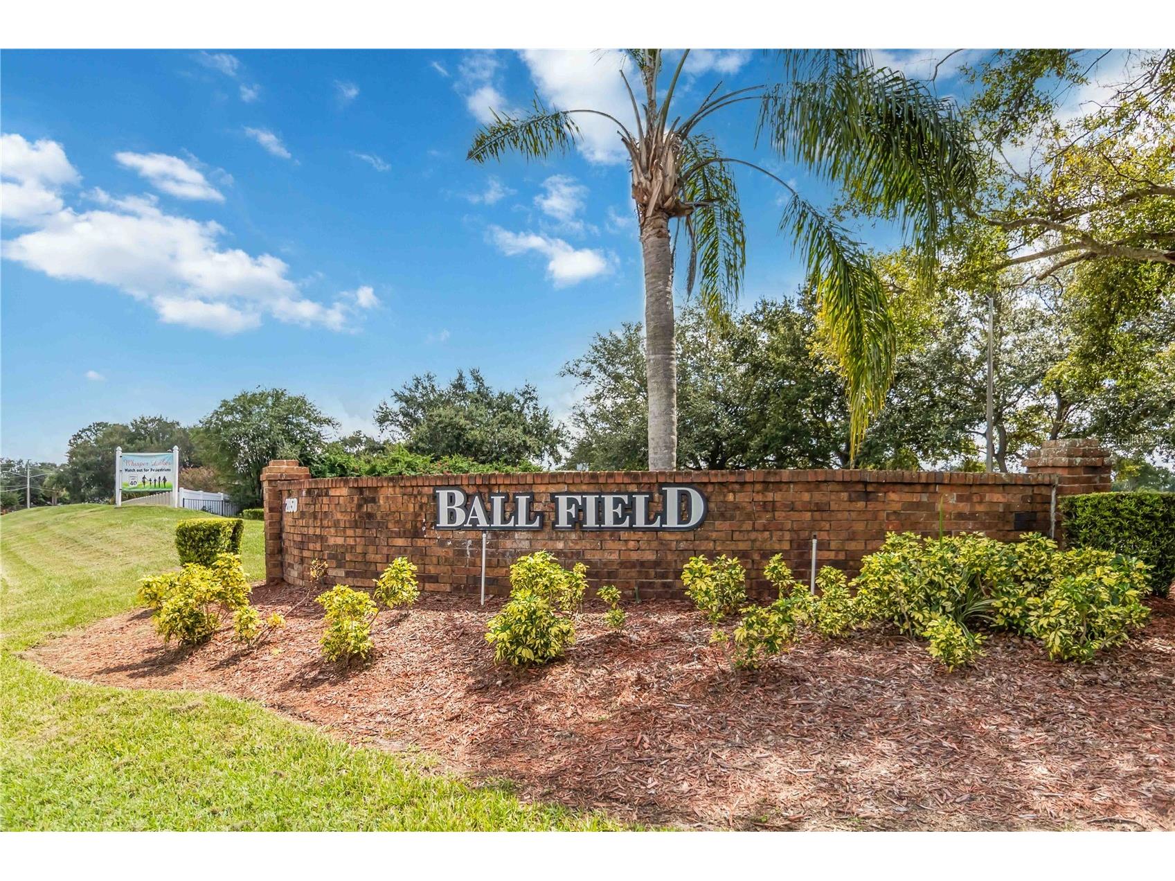 11839 Ottawa Avenue Orlando FL 32837 NS1088341 image28