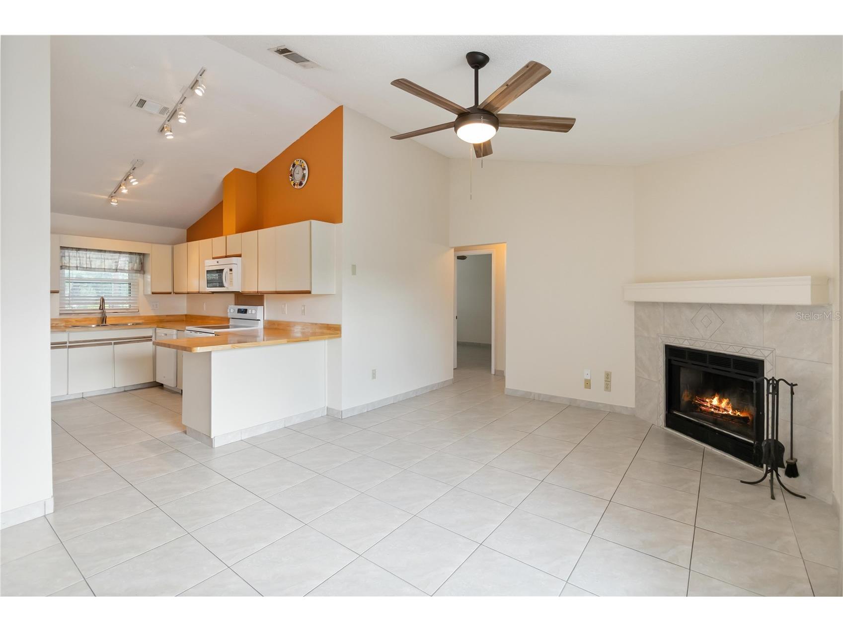 11839 Ottawa Avenue Orlando FL 32837 NS1088341 image7