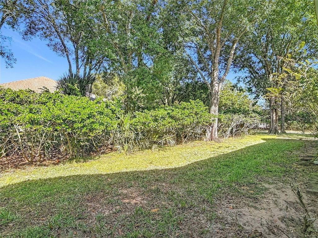 1184 Athlone Way Ormond Beach FL 32174 TB8454700 image50