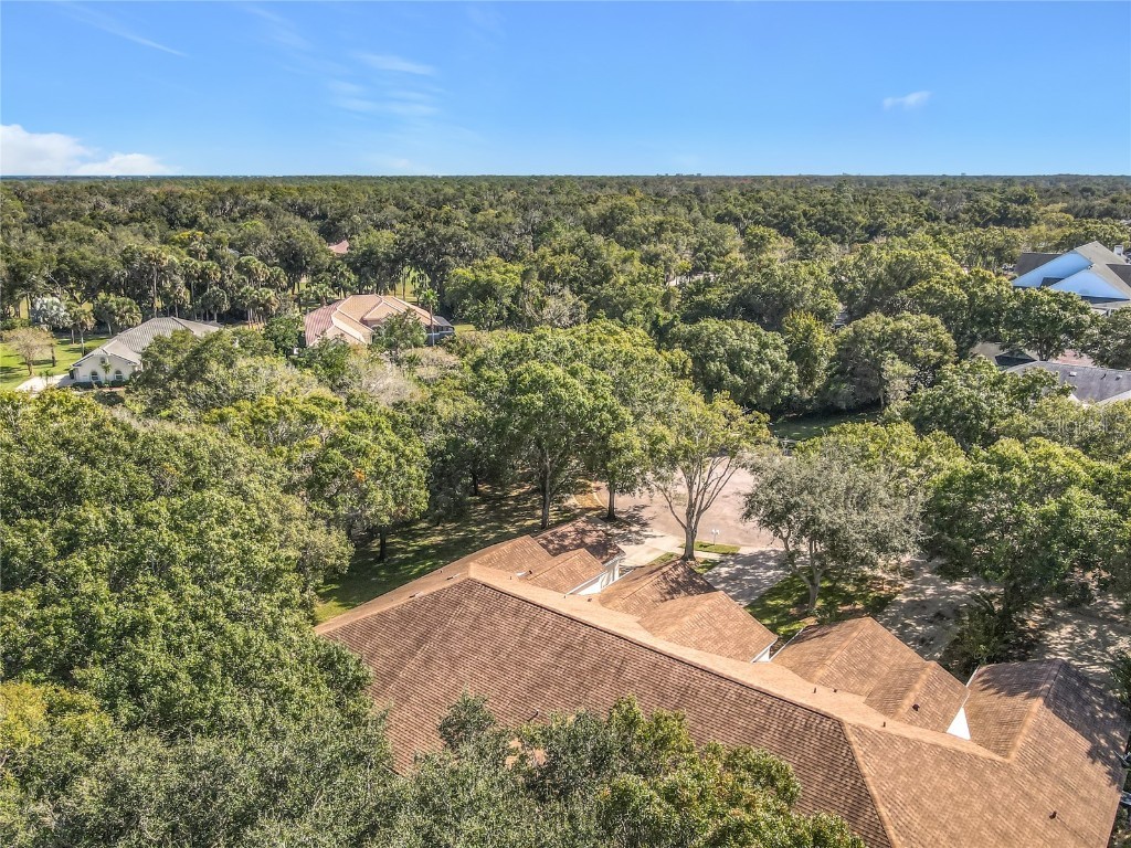 1184 Athlone Way Ormond Beach FL 32174 TB8454700 image8