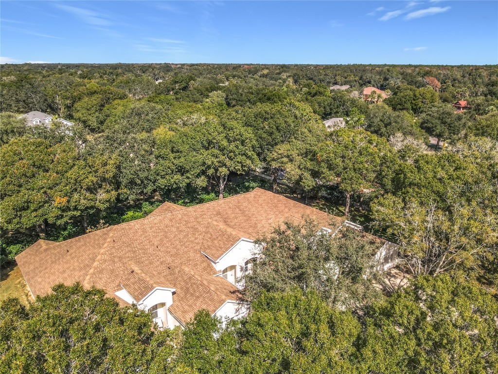 1184 Athlone Way Ormond Beach FL 32174 TB8454700 image9