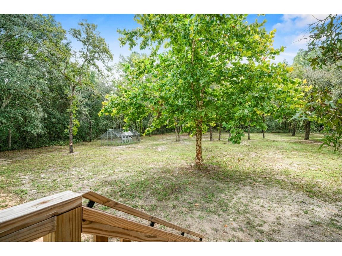 1184 E Sandy Lane Hernando FL 34442 OM714615 image20