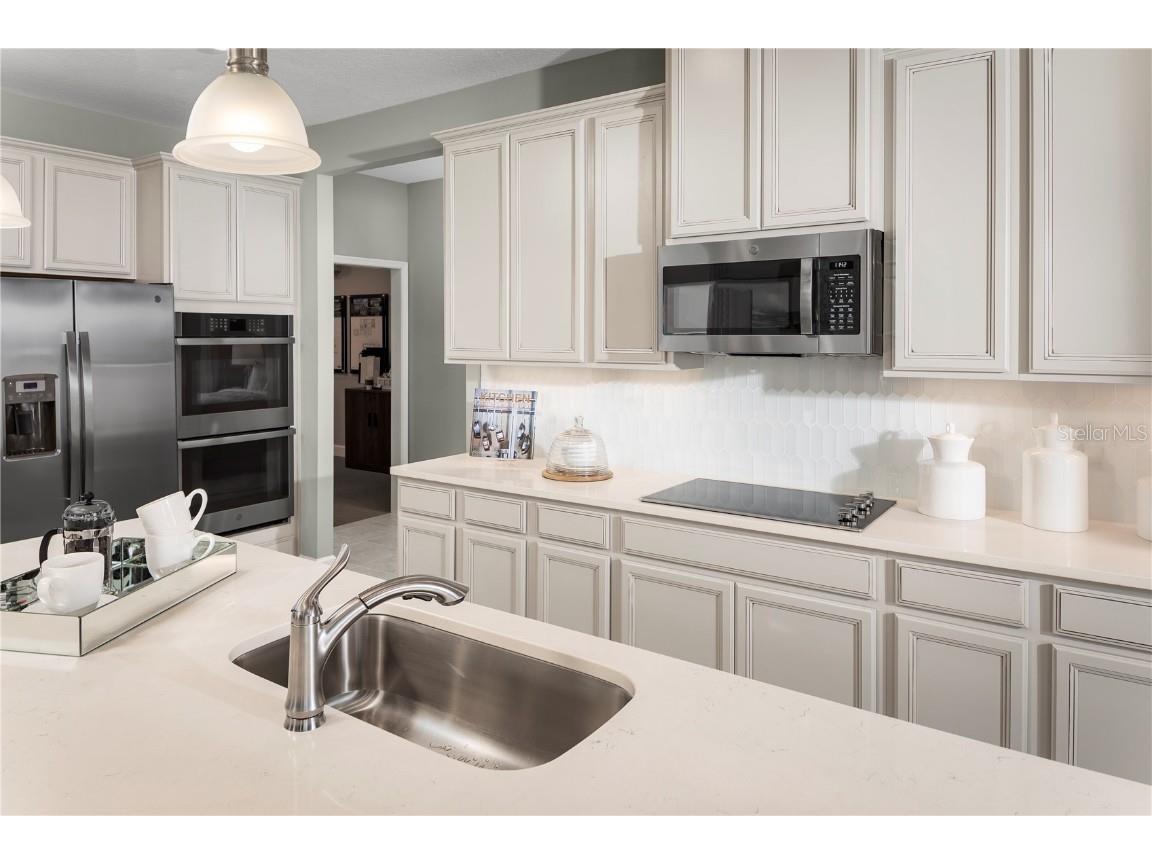 1184 Ivy Manor Street Minneola FL 34715 W7876845 image10