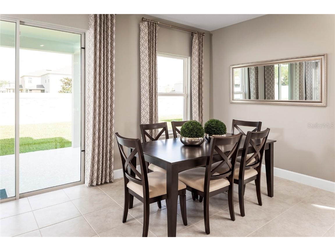 1184 Ivy Manor Street Minneola FL 34715 W7876845 image5