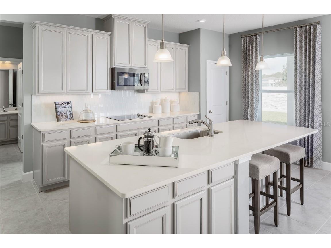 1184 Ivy Manor Street Minneola FL 34715 W7876845 image6