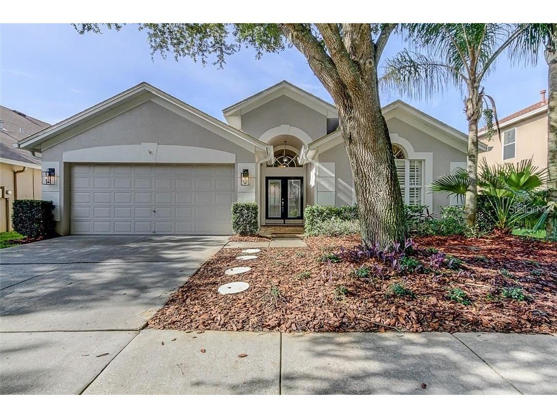 11842 Derbyshire Drive Tampa FL 33626 T3450273 image1