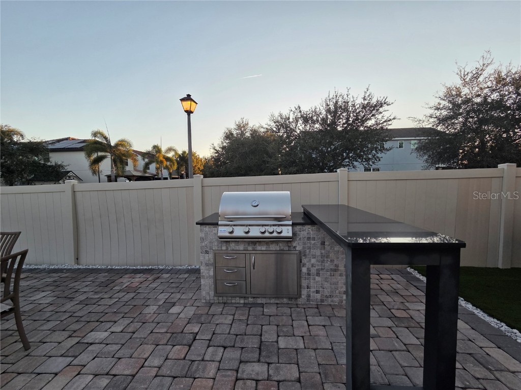 11842 Silverlake Park Drive Windermere FL 34786 O6368823 image11