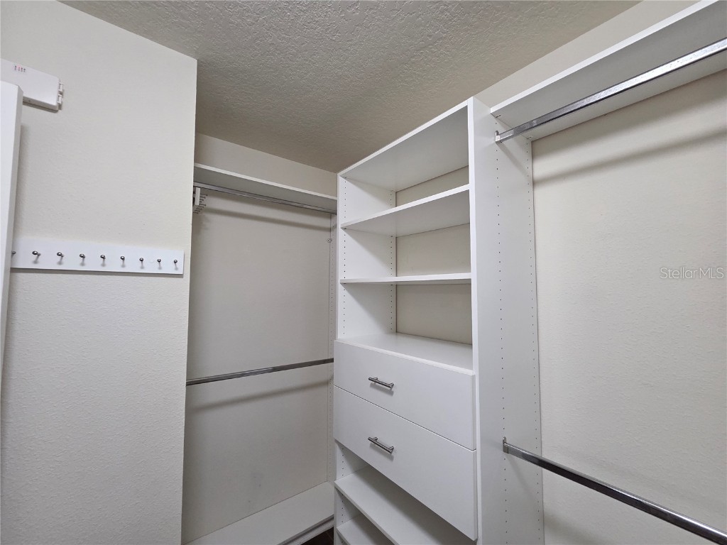 11842 Silverlake Park Drive Windermere FL 34786 O6368823 image38