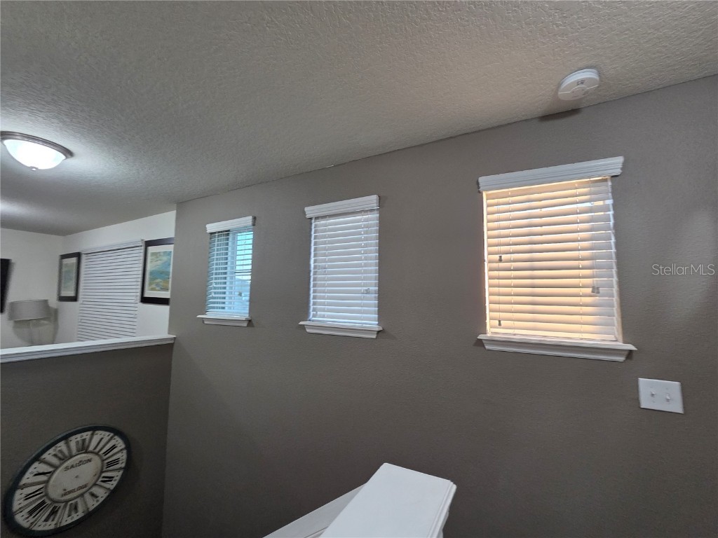 11842 Silverlake Park Drive Windermere FL 34786 O6368823 image41