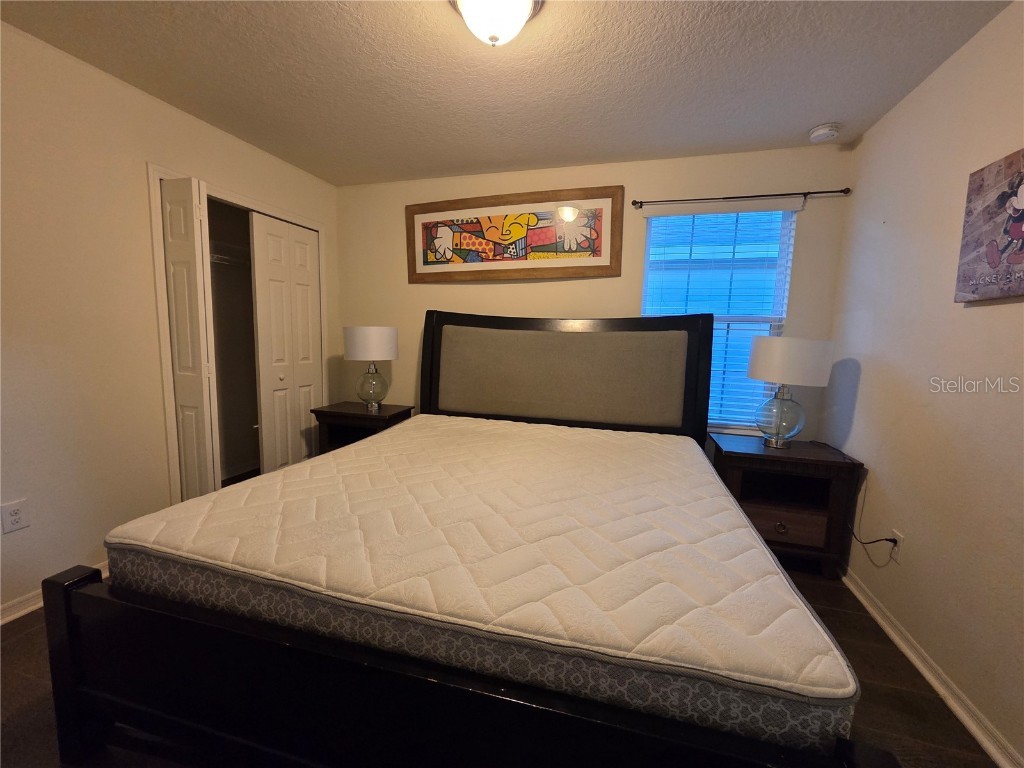 11842 Silverlake Park Drive Windermere FL 34786 O6368823 image51