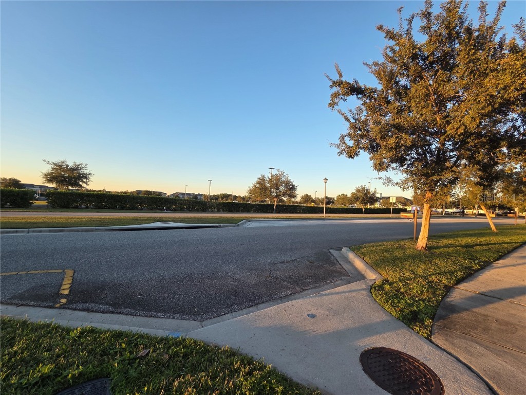 11842 Silverlake Park Drive Windermere FL 34786 O6368823 image7