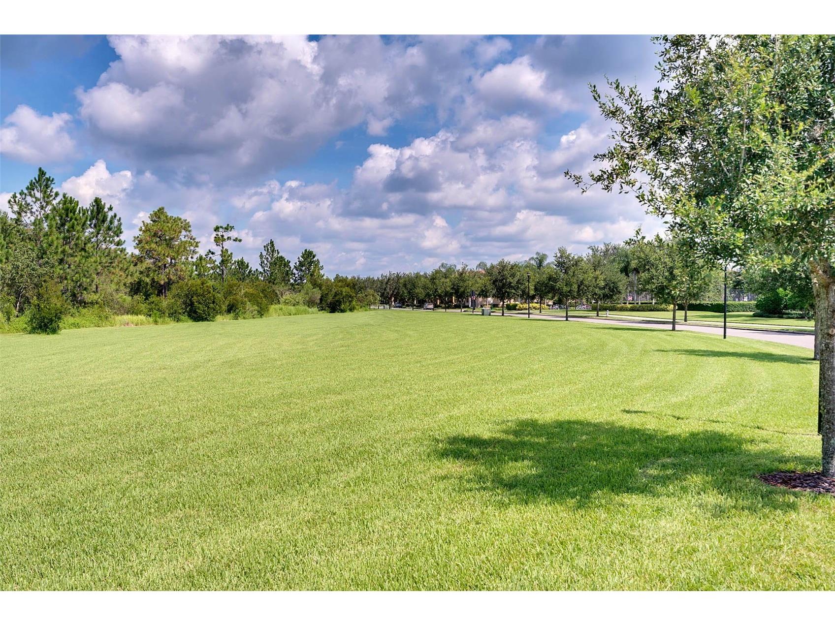 11844 Astilbe Drive Orlando FL 32827 O6404157 image67