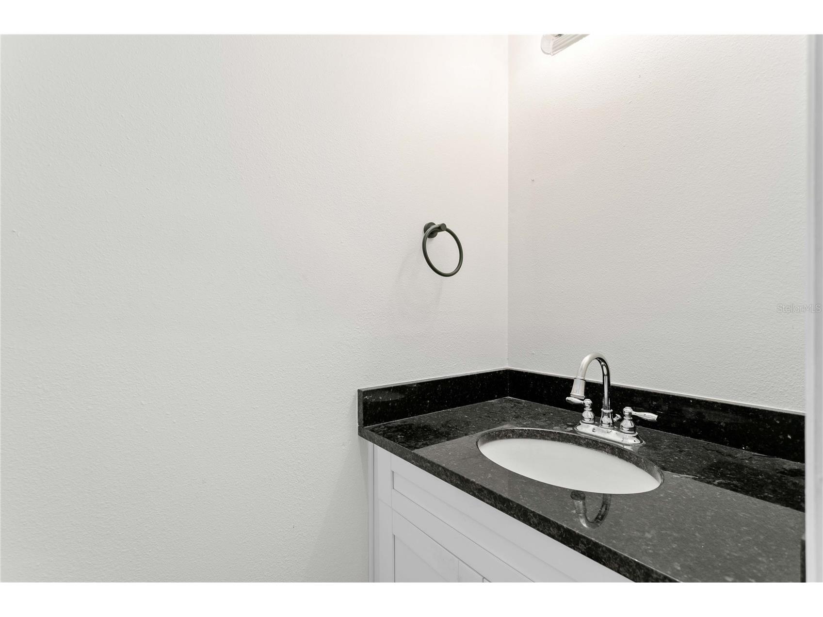 11844 Branch Mooring Drive Tampa FL 33635 TB8523792 image25
